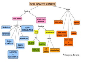 Profesora: J. Serrano
 