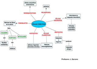 Profesora: J. Serrano
 