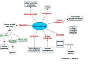 Profesora: J. Serrano
 