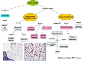 Profesora: Juana Mª Serrano
 
