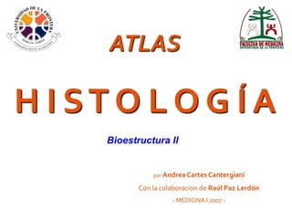 ATLAS

H I STO LOG ÍA
    Bioestructura II


               por Andrea Cartes Cantergiani

           Con la colaboracion de Raúl Paz Lerdón
                     - MEDICINA I 2007 -
 
