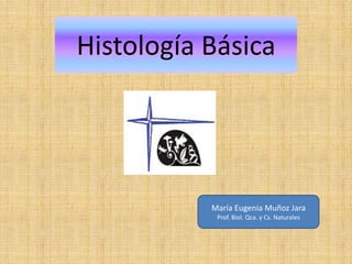 Histología Básica




           María Eugenia Muñoz Jara
            Prof. Biol. Qca. y Cs. Naturales
 