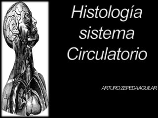 Histología  sistema  Circulatorio ARTURO ZEPEDA AGUILAR 