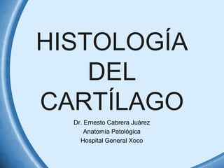 HISTOLOGÍA 
DEL 
CARTÍLAGO 
Dr. Ernesto Cabrera Juárez 
Anatomía Patológica 
Hospital General Xoco 
 
