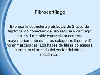 Fibrocartílago 
Expresa la estructura y atributos de 2 tipos de 
tejido: tejido conectivo de uso regular y cartílago 
hialino. La matriz extracelular consiste 
mayoritariamente de fibras colágenas (tipo I y II) 
no enmascaradas. Los haces de fibras colágenas 
corren en el sentido del vector del stress 
mecánico. 
 