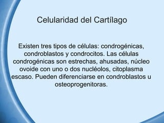 Celularidad del Cartílago 
Existen tres tipos de células: condrogénicas, 
condroblastos y condrocitos. Las células 
condrogénicas son estrechas, ahusadas, núcleo 
ovoide con uno o dos nucléolos, citoplasma 
escaso. Pueden diferenciarse en condroblastos u 
osteoprogenitoras. 
 