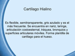 Cartílago Hialino 
Es flexible, semitransparente, gris azulado y es el 
más frecuente. Se encuentra en nariz, laringe, 
ar...