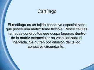 Cartílago 
El cartílago es un tejido conectivo especializado 
que posee una matriz firme flexible. Posee células 
llamadas...
