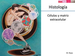 Histología
Células y matriz
extracelular
M. Rojas
 