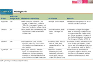 Histología células y Matriz Extracelular (histology cells extracellular matrix)