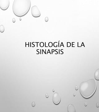 HISTOLOGÍA DE LA
SINAPSIS
 