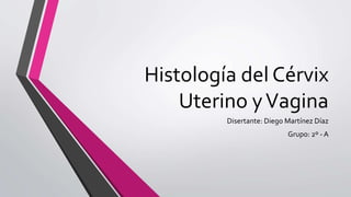 Histología del Cérvix
Uterino yVagina
Disertante: Diego Martínez Díaz
Grupo: 2º - A
 