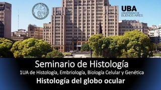Seminario de Histología
1UA de Histología, Embriología, Biología Celular y Genética
Histología del globo ocular
 