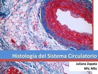 Histología del Sistema Circulatorio
Juliana Zapata
MV, MSc
 