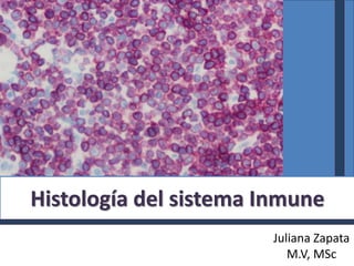 Histología del sistema Inmune
Juliana Zapata
M.V, MSc
 