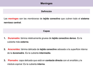 Meninges
Definición
Las meninges son las membranas de tejido conectivo que cubren todo el sistema
nervioso central.

Capas
1.

Duramadre: lámina relativamente gruesa de tejido conectivo denso. Es la
cubierta más externa.

2. Aracnoides: lámina delicada de tejido conectivo adosada a la superficie interna
de la duramadre. Es la cubierta intermedia.

3.

Piamadre: capa delicada que está en contacto directo con el encéfalo y la
médula espinal. Es la cubierta interna.

 