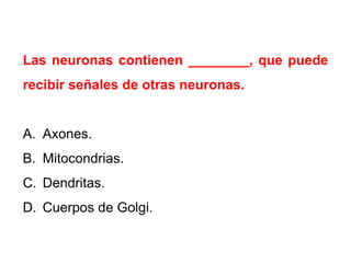 Las neuronas contienen ________, que puede
recibir señales de otras neuronas.

A. Axones.
B. Mitocondrias.
C. Dendritas.
D. Cuerpos de Golgi.

 