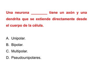 Una neurona ________ tiene un axón y una

dendrita que se extiende directamente desde
el cuerpo de la célula.

A. Unipolar.
B. Bipolar.
C. Multipolar.
D. Pseudounipolares.

 