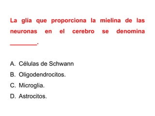 La glía que proporciona la mielina de las

neuronas

en

el

cerebro

________.

A. Células de Schwann
B. Oligodendrocitos.
C. Microglia.
D. Astrocitos.

se

denomina

 