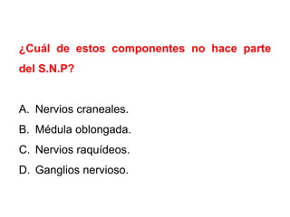 ¿Cuál de estos componentes no hace parte
del S.N.P?

A. Nervios craneales.
B. Médula oblongada.
C. Nervios raquídeos.
D. Ganglios nervioso.

 