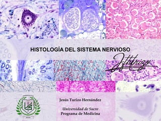 HISTOLOGÍA DEL SISTEMA NERVIOSO
Jesús Turizo Hernández
Universidad de Sucre
Programa de Medicina
 