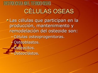 CÉLULAS OSEAS <ul><li>Las células que participan en la producción, mantenimiento y remodelación del osteoide son: </li></u...