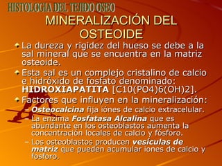 MINERALIZACIÓN DEL OSTEOIDE <ul><li>La dureza y rigidez del hueso se debe a la sal mineral que se encuentra en la matriz o...