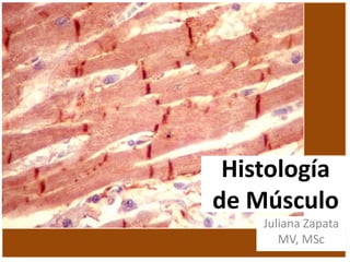Histología
de Músculo
Juliana Zapata
MV, MSc

 