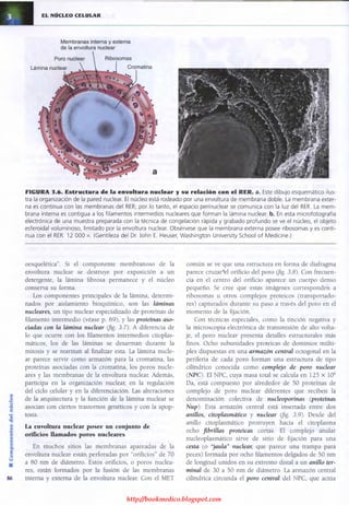 http://bookmedico.blogspot.com
 