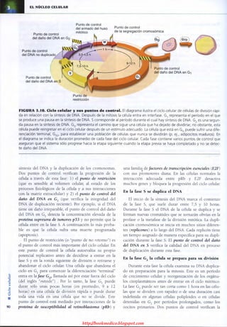 http://bookmedico.blogspot.com
 