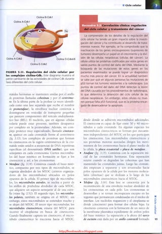 http://bookmedico.blogspot.com
 