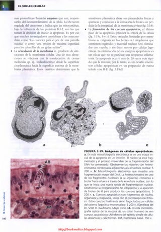 http://bookmedico.blogspot.com
 