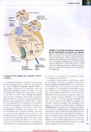 http://bookmedico.blogspot.com
 