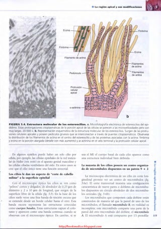 http://bookmedico.blogspot.com
 