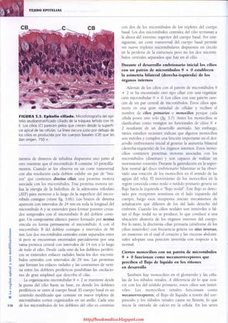 http://bookmedico.blogspot.com
 