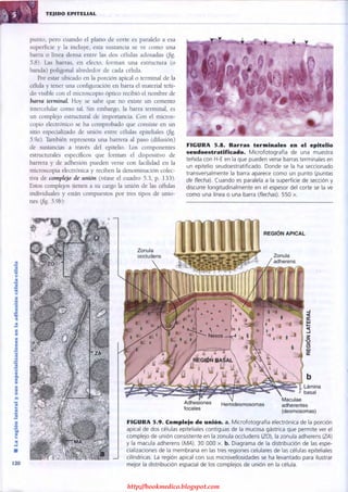 http://bookmedico.blogspot.com
 