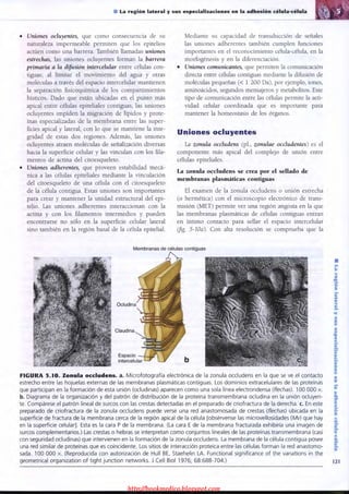 http://bookmedico.blogspot.com
 
