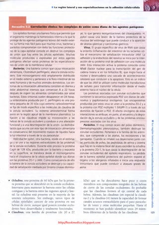 http://bookmedico.blogspot.com
 