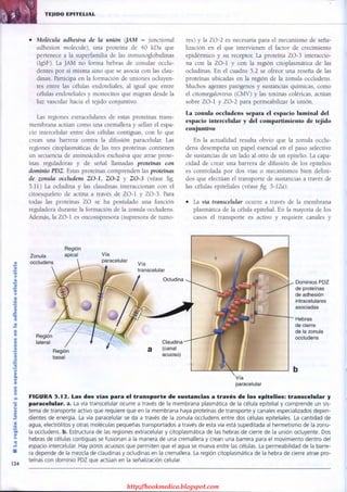 http://bookmedico.blogspot.com
 