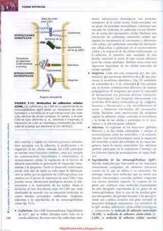 http://bookmedico.blogspot.com
 