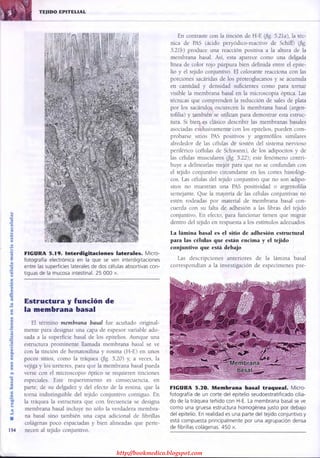 http://bookmedico.blogspot.com
 