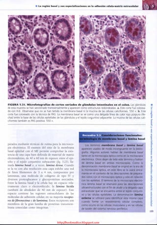 http://bookmedico.blogspot.com
 
