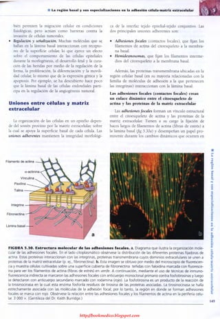 http://bookmedico.blogspot.com
 