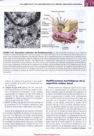http://bookmedico.blogspot.com
 