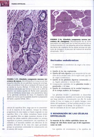 http://bookmedico.blogspot.com
 