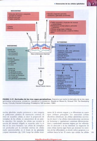 http://bookmedico.blogspot.com
 