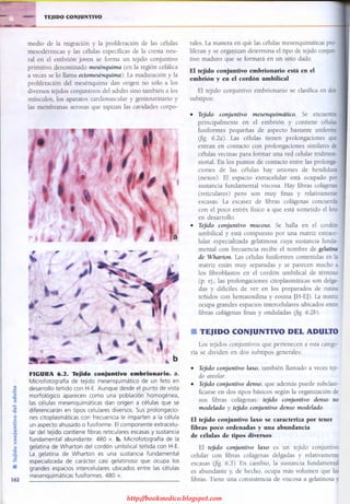 http://bookmedico.blogspot.com
 