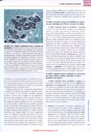 http://bookmedico.blogspot.com
 