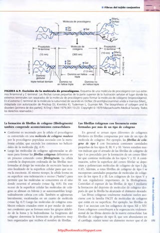 http://bookmedico.blogspot.com
 