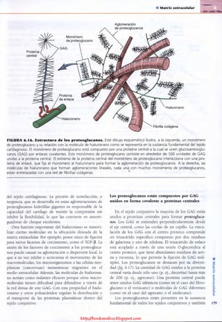 http://bookmedico.blogspot.com
 